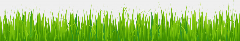 Grass Lawn Clip Art PNG