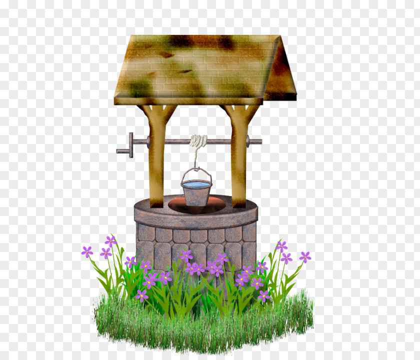 Lawn Wildflower Water Well Grass Plant Landscape Flowerpot PNG