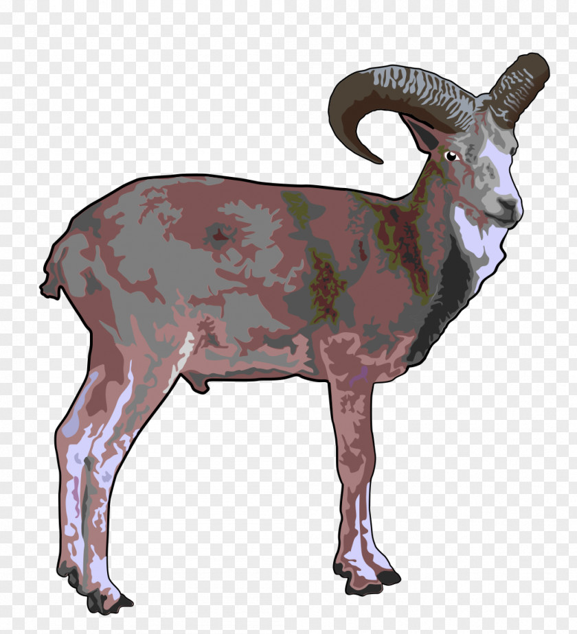 Sheep Argali Goat Urial Clip Art PNG