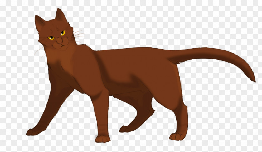 Cat Warriors Erin Hunter Moonrise The Darkest Hour PNG