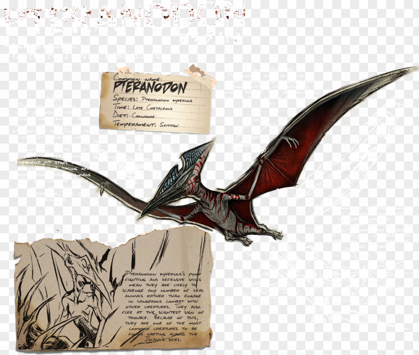 Dinosaur Pteranodon ARK: Survival Evolved Quetzalcoatlus Pterosaurs Late Cretaceous PNG