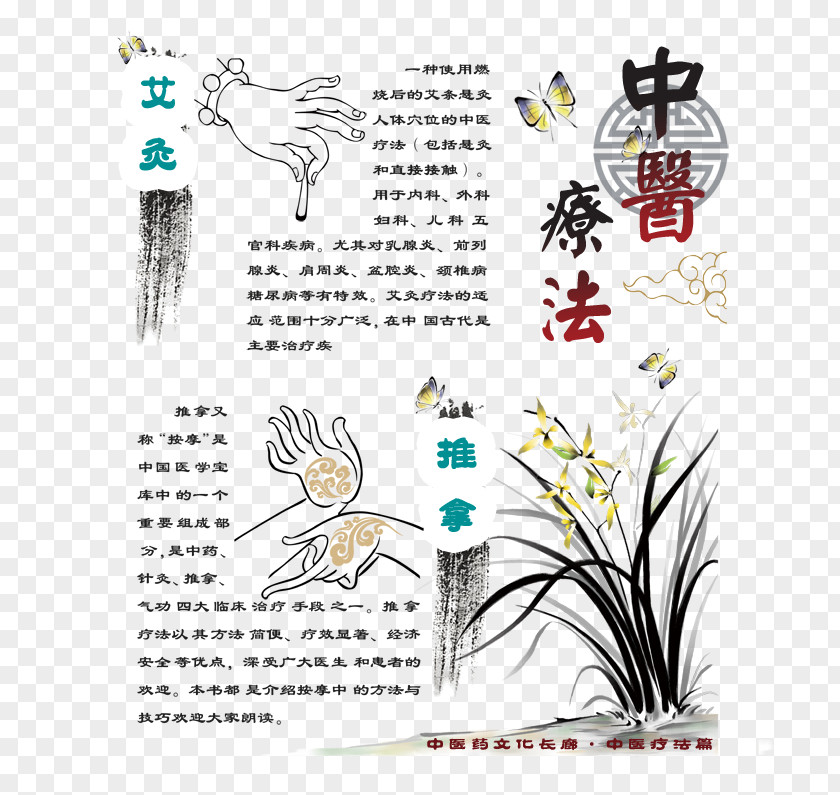 Massage Acupuncture Picture Traditional Chinese Medicine Tui Na Physical Therapy PNG