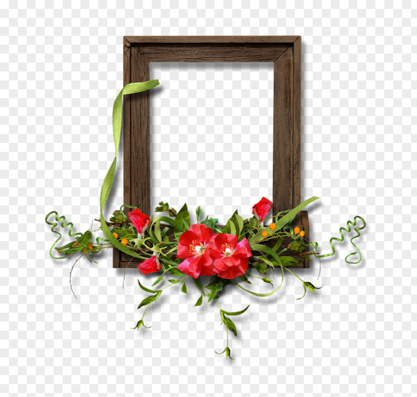 Miss Amazonas 2012 Picture Frames Floral Design Photography Painting PNG