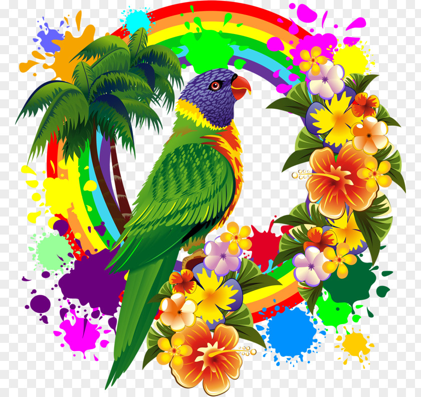 Parrot Rainbow Lorikeet Color PNG