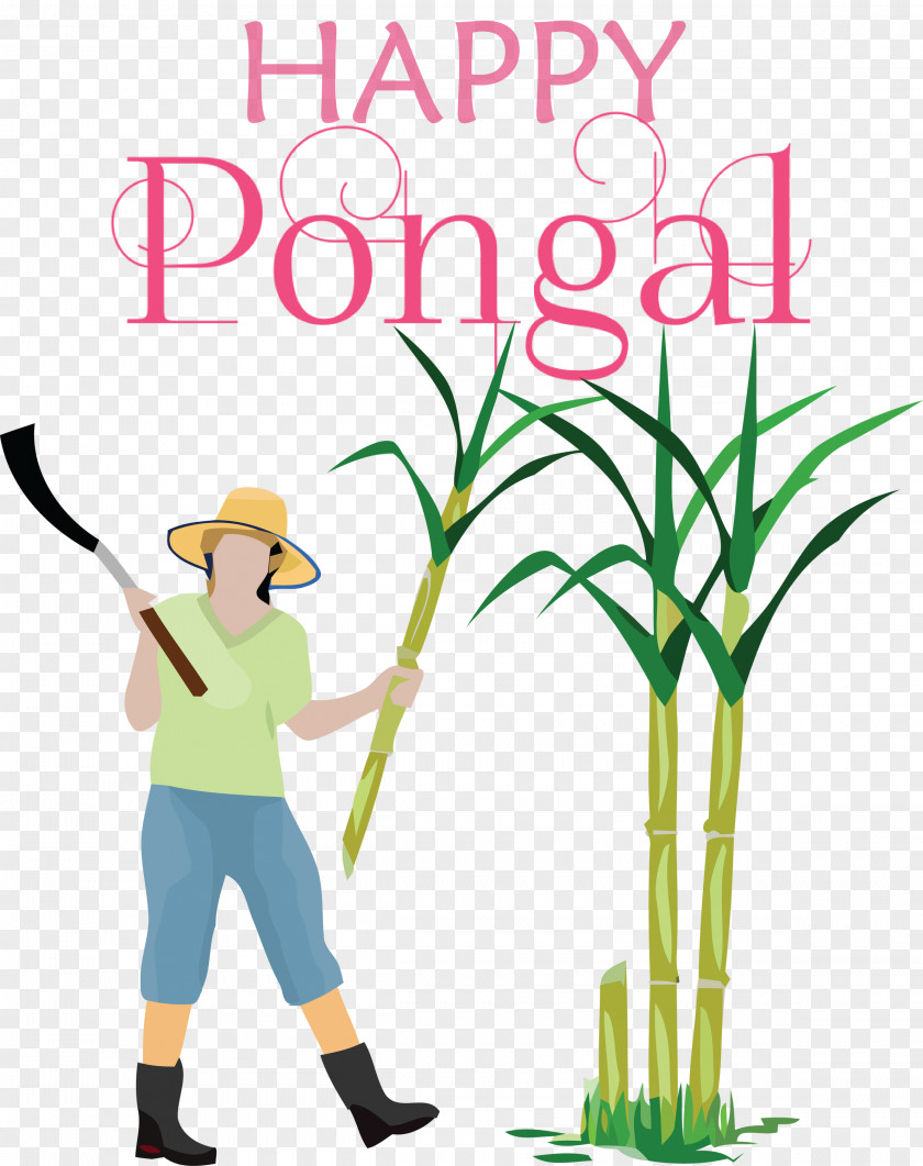 Pongal Happy PNG