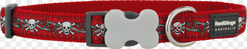 Red Collar Dog Dingo PNG