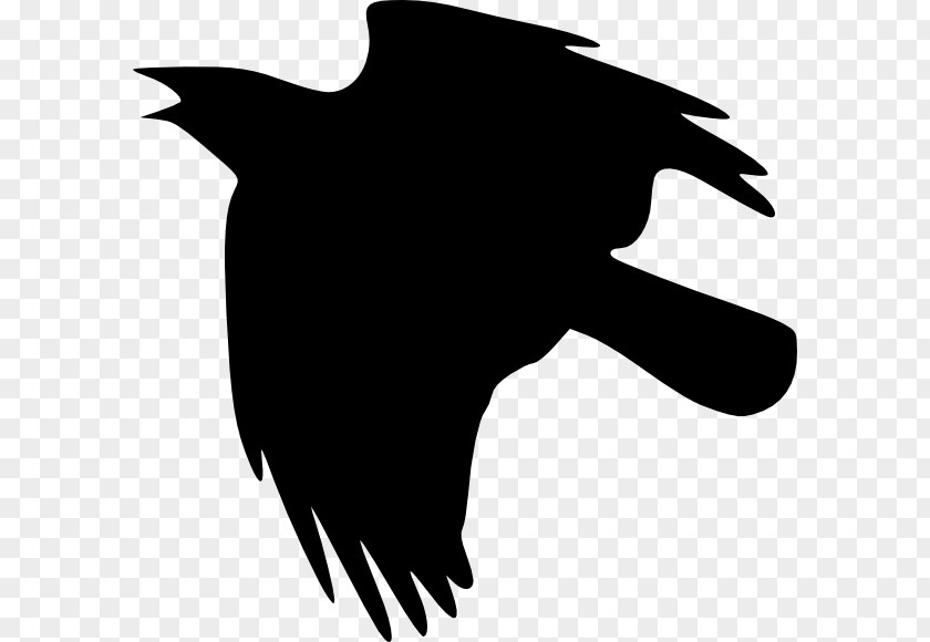 Tree Vector Crows Clip Art PNG