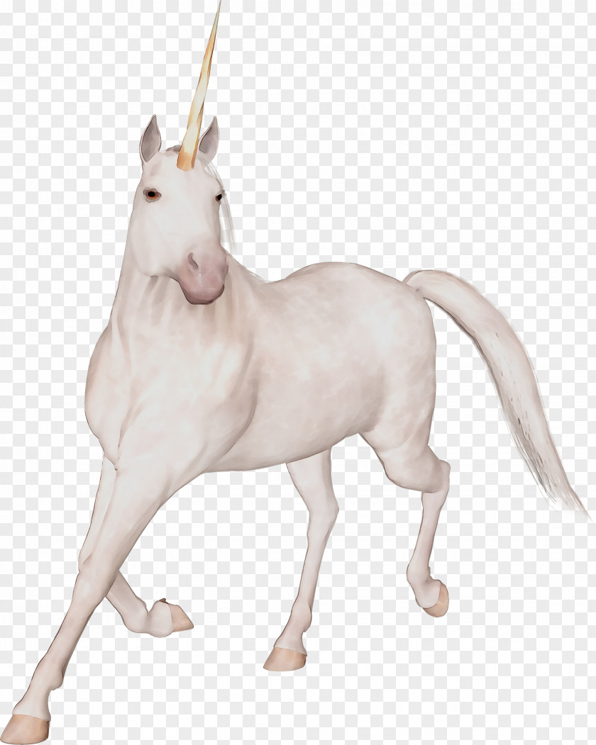 Unicorn Image Clip Art Vector Graphics PNG