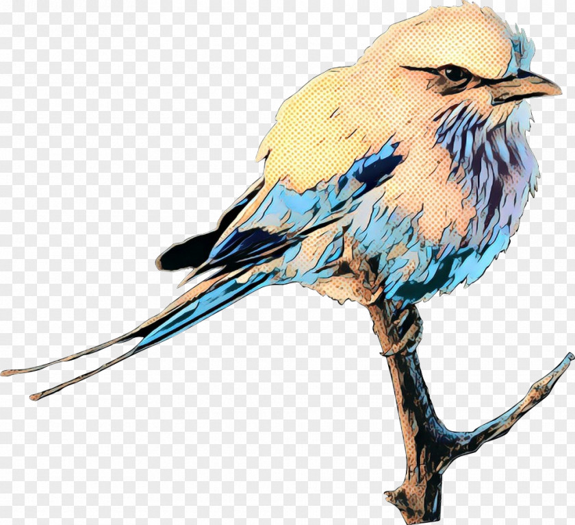 Bird European Roller Lilac-breasted Clip Art PNG