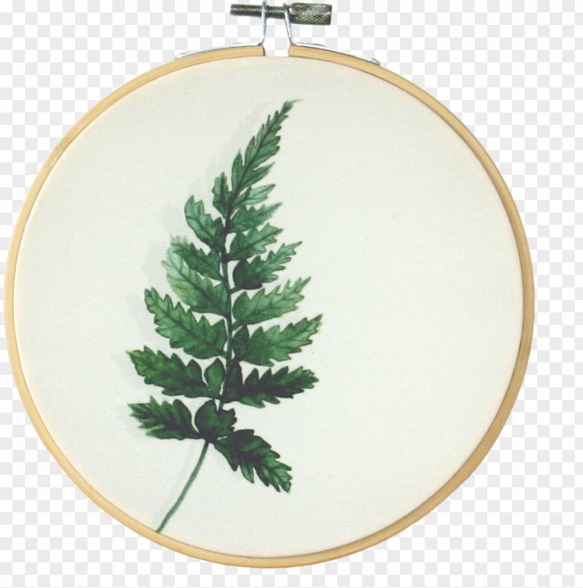 Fern Leaf Banana Christmas Ornament Spruce Painting .nl PNG