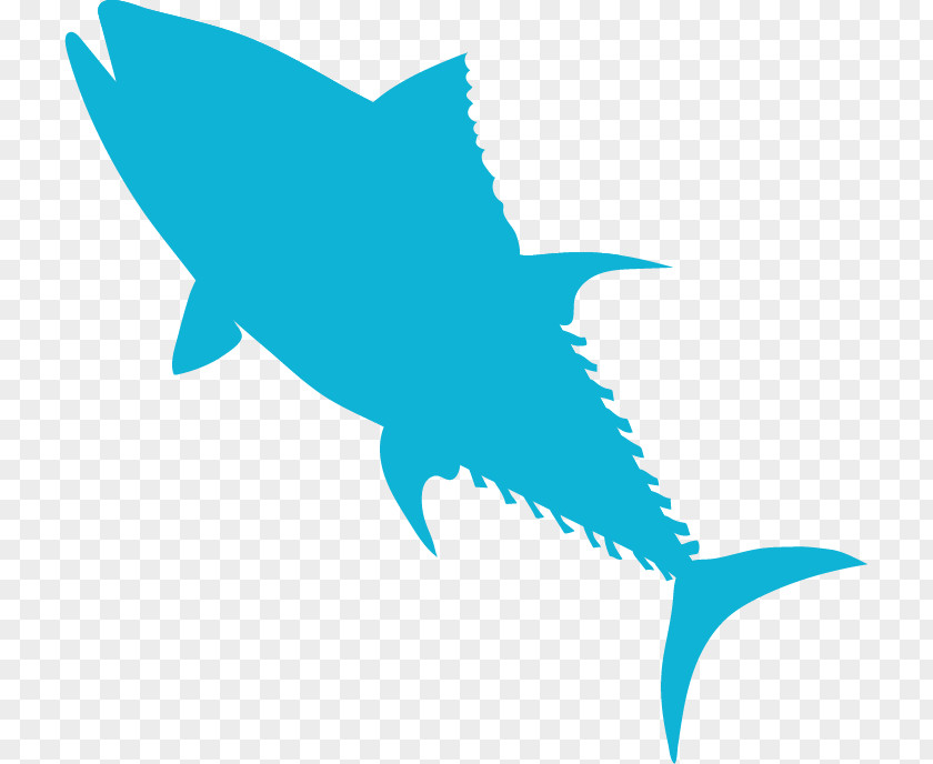 Logo Electric Blue Shark Fin Background PNG