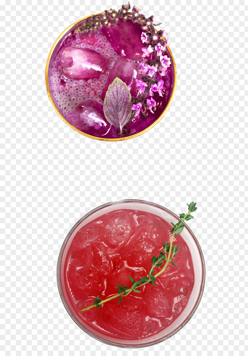 Pitaya Snake Oil Cocktail Company Drink Food Catering PNG