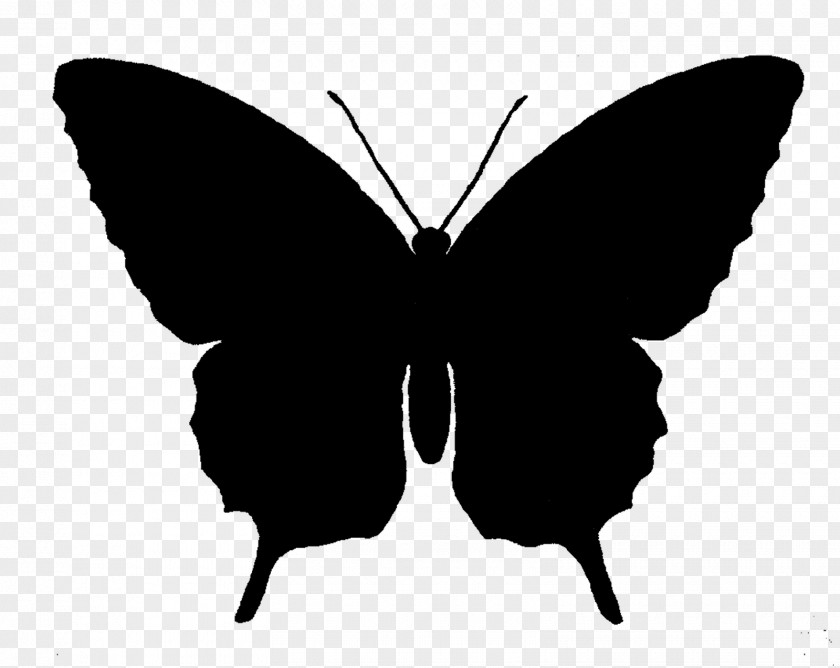 Silhouettes Butterfly Silhouette Clip Art PNG