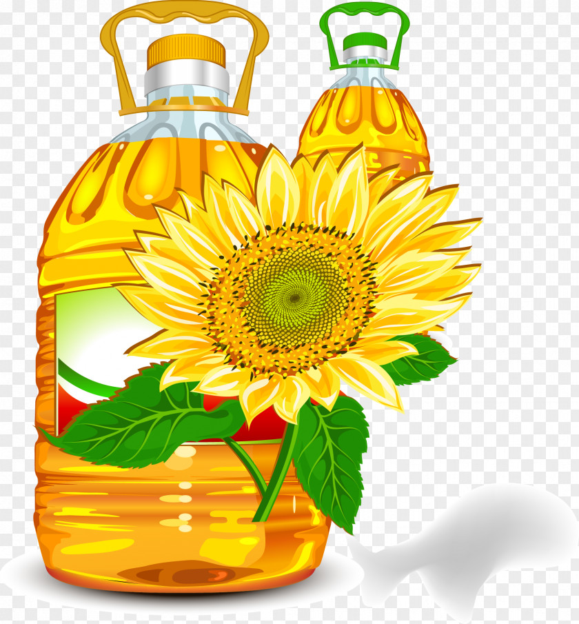 Edible Sunflower Oil Vector Material Olive Cooking Clip Art PNG