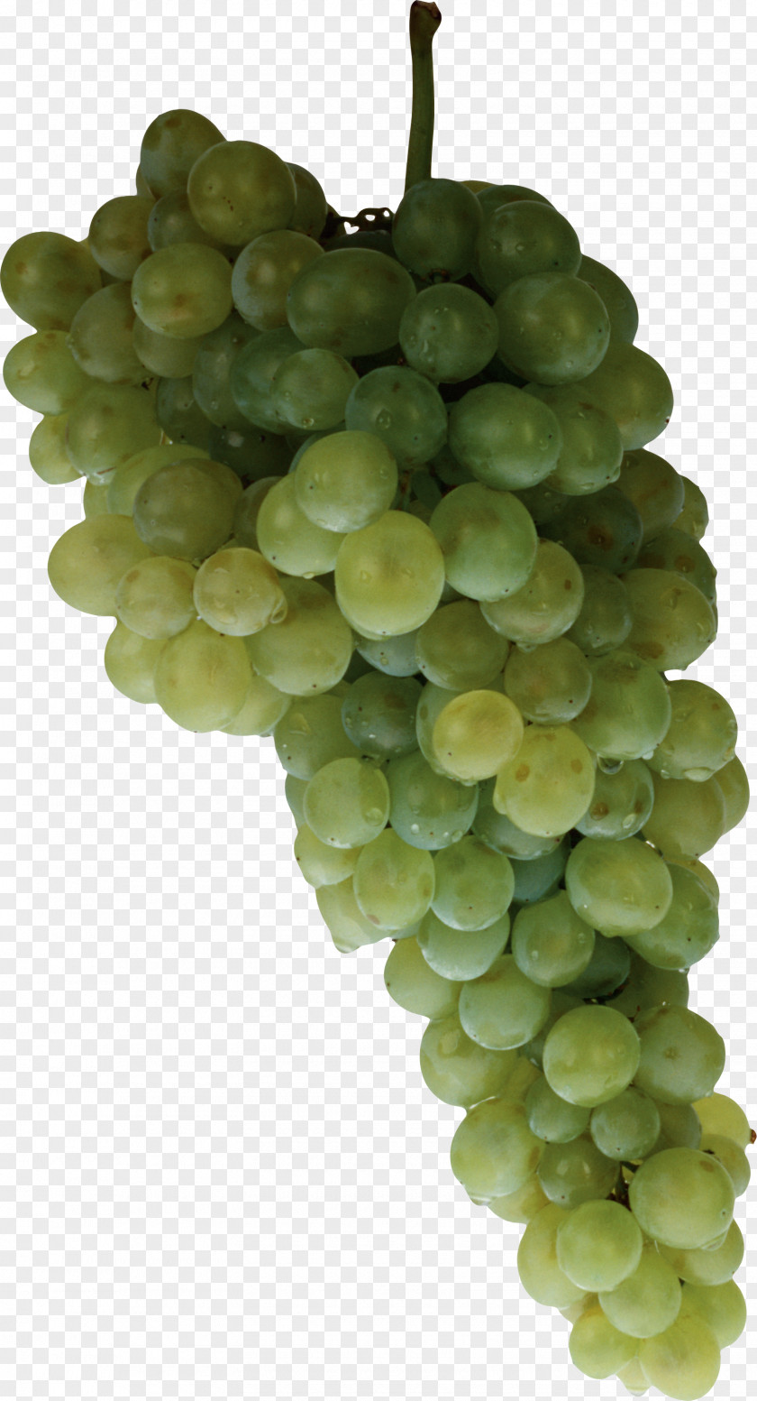 Grape PNG clipart PNG