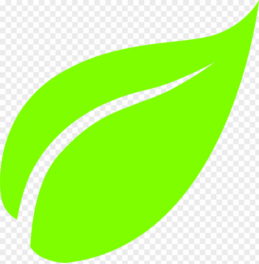 Leaf Clipart Green Tea Masala Chai White PNG