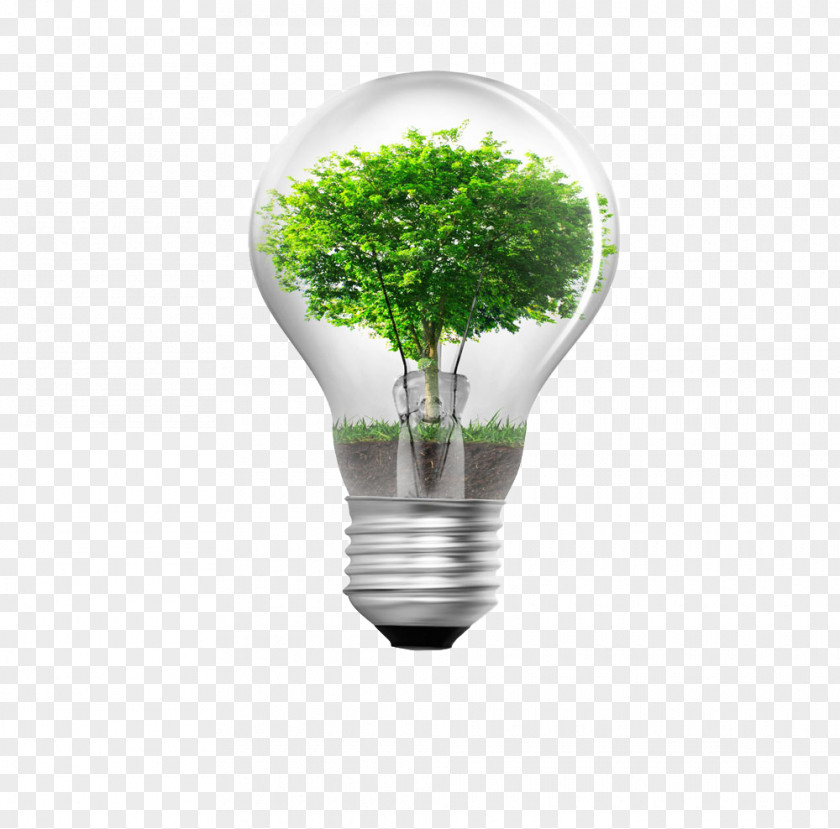 Tree Bulb Creative Energy Conservation Window Film Business Efficient Use Sustainability PNG