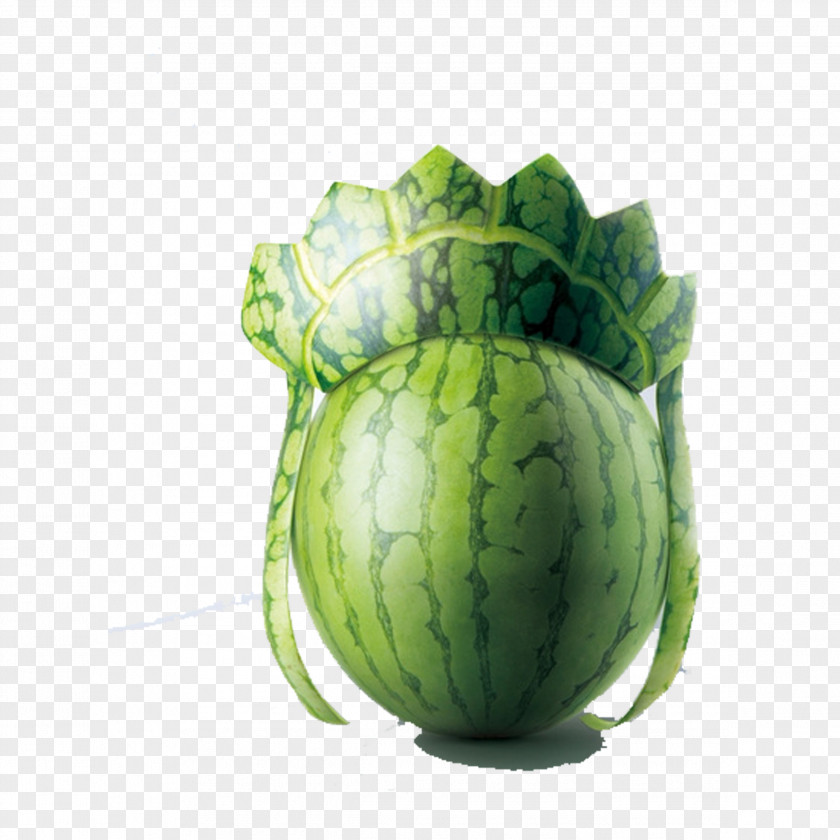 Watermelon Creativity Designer Adobe Illustrator PNG