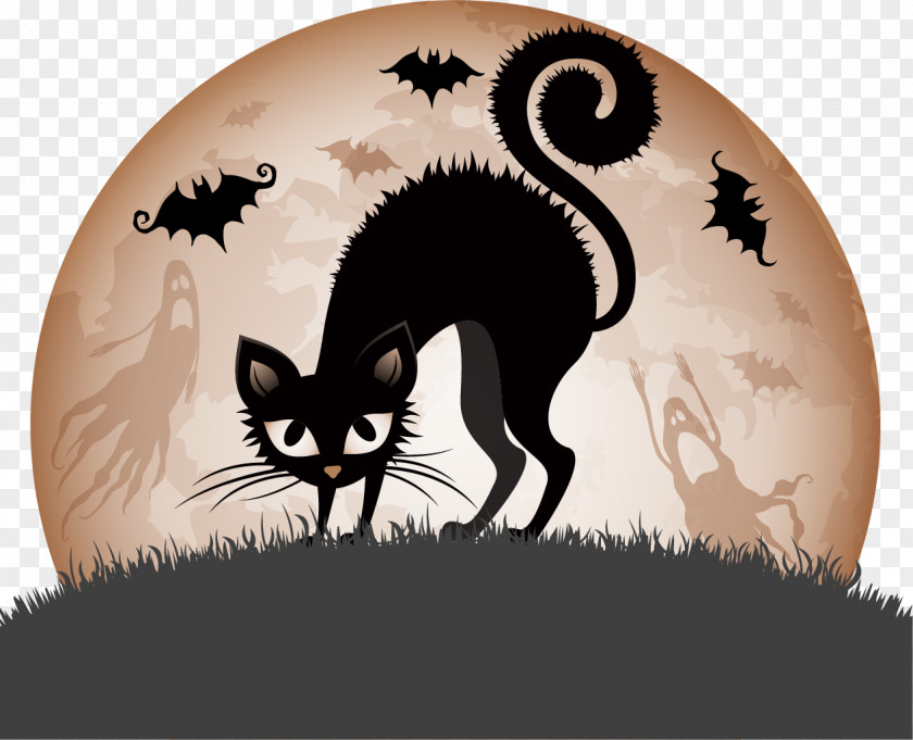 Wicca Halloween Clip Art 31 October Illustration Black Cat PNG