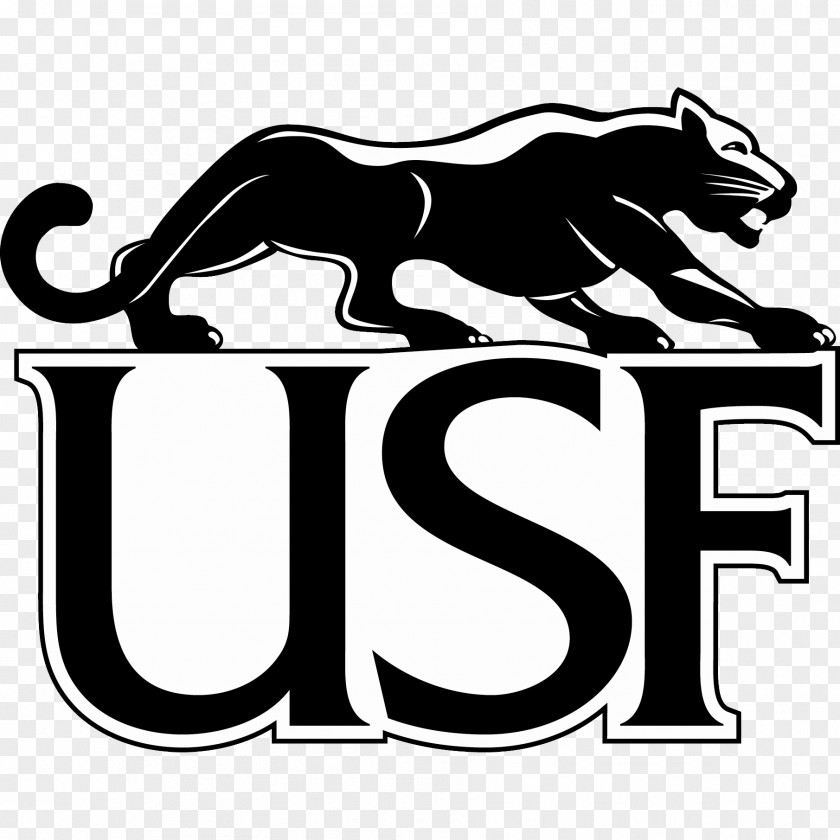 American Football University Of Sioux Falls Cougars South Florida Bulls St. Cloud State PNG