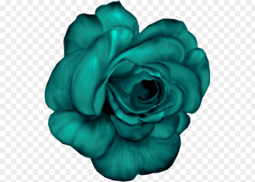 Flower Garden Roses Blue Clip Art PNG