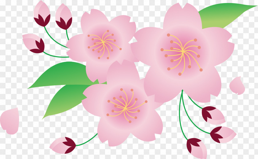 Japan Clip Art Openclipart Cherry Blossom Illustration PNG