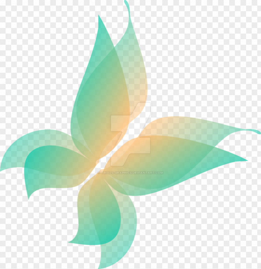 Net Vector Butterfly Clip Art PNG