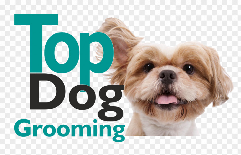 Puppy Dog Grooming Shih Tzu Havanese Pet Sitting PNG