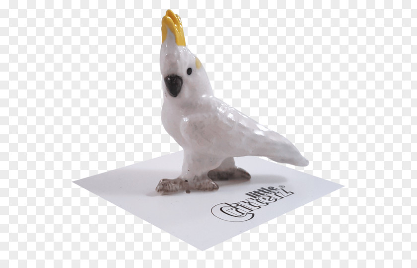Bird Sulphur-crested Cockatoo Animal Figurine PNG