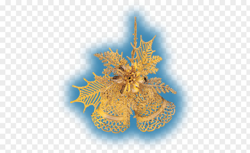 Christmas Tree Day Ornament Organism PNG