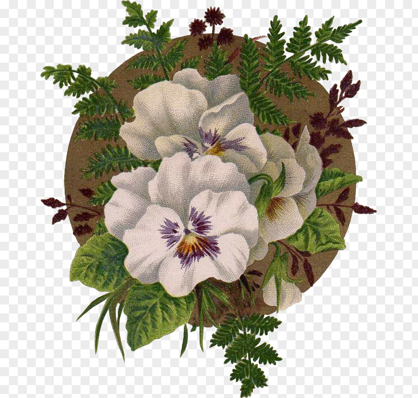Flower Pansy Floral Design Seed Painting PNG