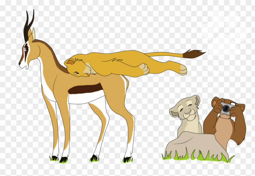 Gazelle The Lion King Antelope Drawing PNG
