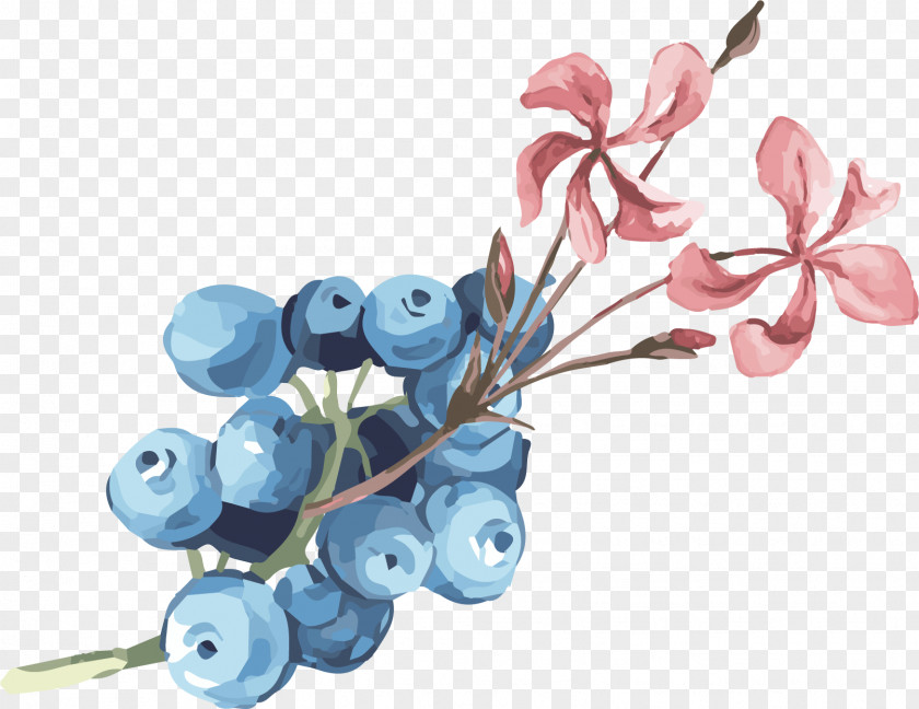 Hand Painted Blueberry Picture Food Clip Art PNG