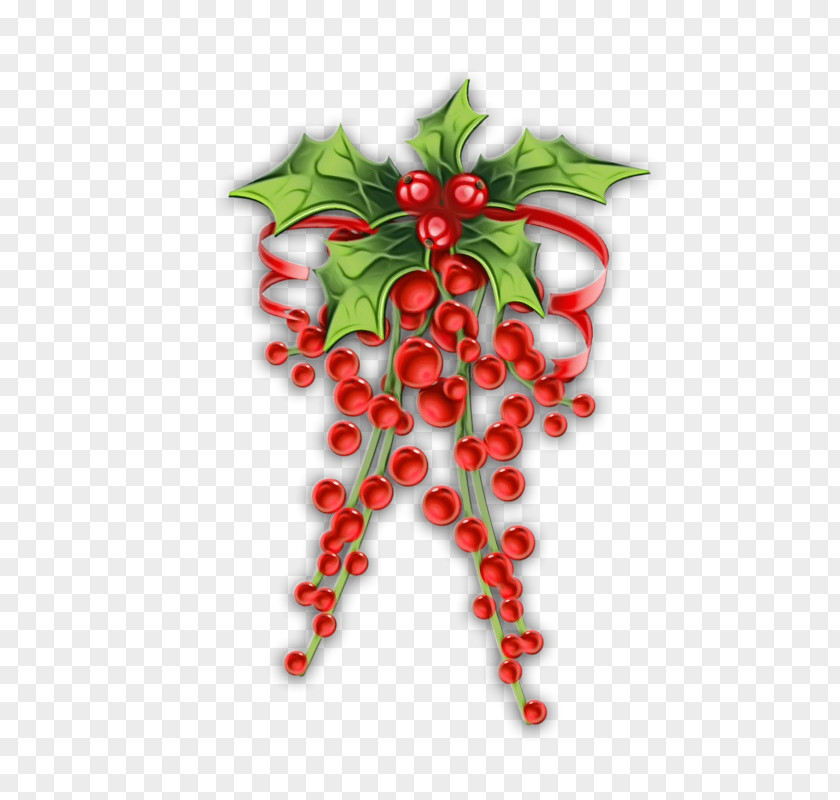 Holiday Ornament Fruit Holly PNG
