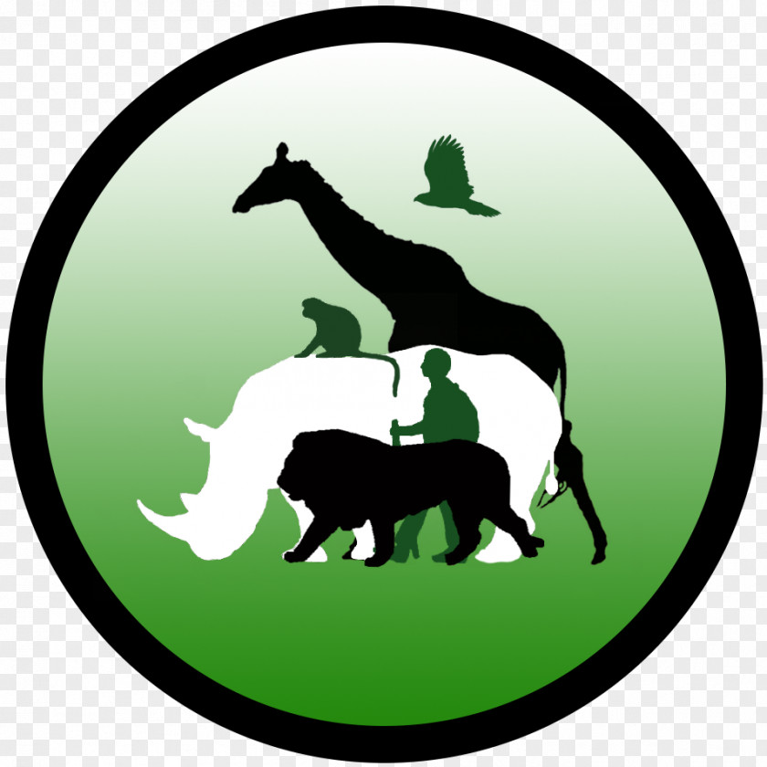 Idle Wildlife Vagabond Horse Logo Brannfjell School PNG
