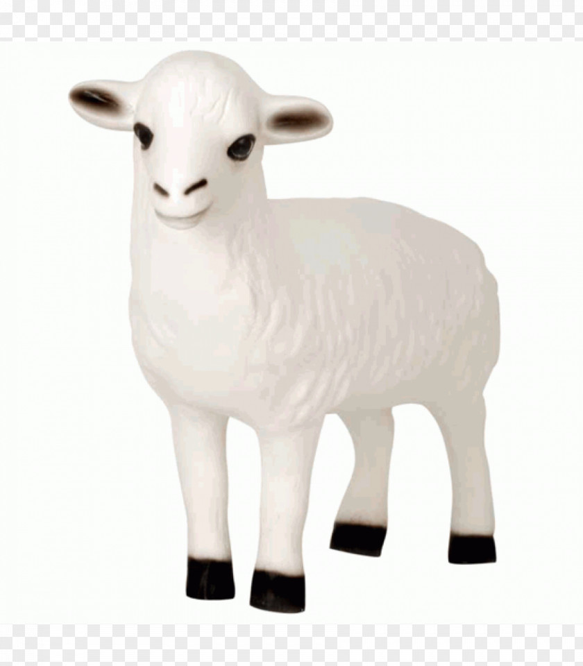 Sheep Goat Snout PNG
