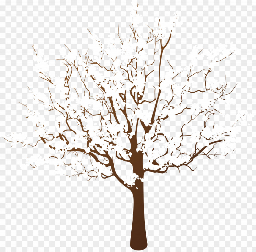 Tree Winter Branch Clip Art PNG