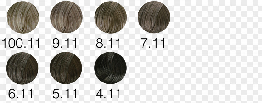 Circolo Del Partito Democratico Di MilanoAsh Hair Color Coloring Long Font 02PD PNG