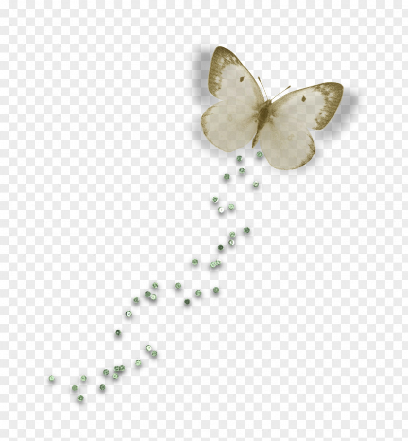 Jewellery Body PNG