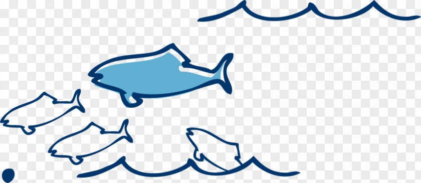 School Of Fish Shoaling And Schooling Euclidean Vector PNG