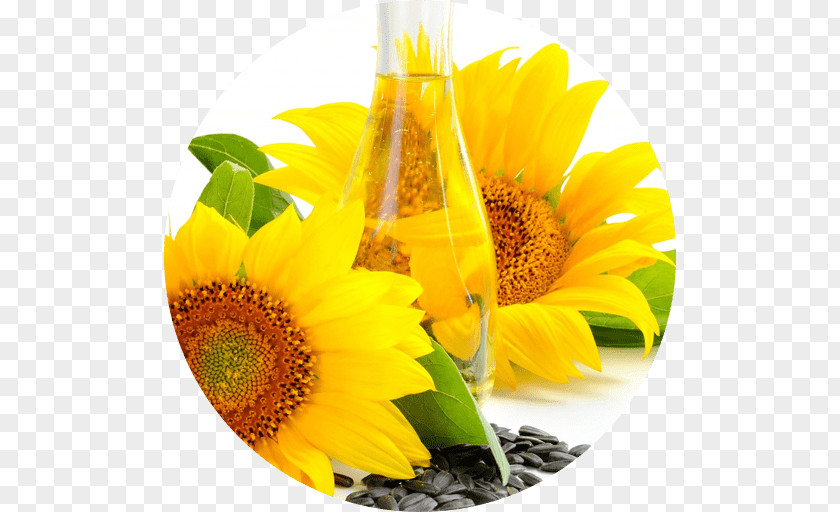 Sunflower Oil Linseed Vegetable PNG