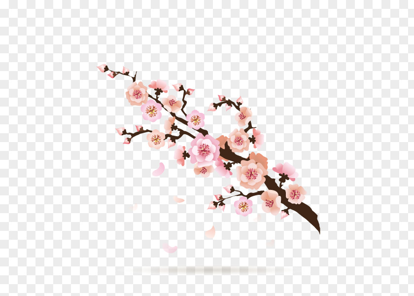 Cherry Blossoms,Pattern,Light Pink Plum Blossom Cartoon U0e01u0e32u0e23u0e4cu0e15u0e39u0e19u0e0du0e35u0e48u0e1bu0e38u0e48u0e19 PNG