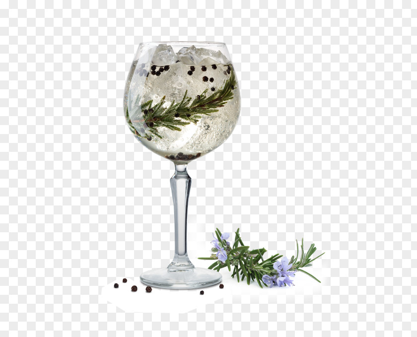Cocktail Illustration Gin And Tonic Wine Glass Water PNG