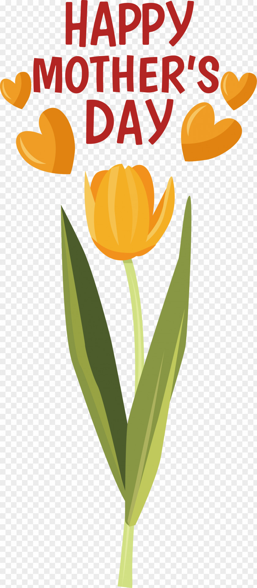 Plant Stem Cut Flowers Tulip Flower Text PNG