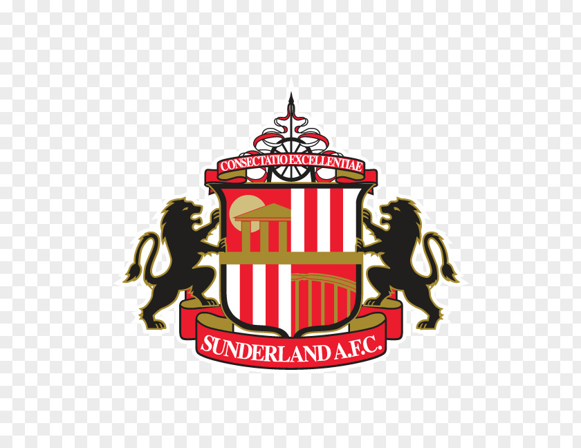 Premier League Sunderland A.F.C. EFL Championship Stadium Of Light Reading F.C. PNG