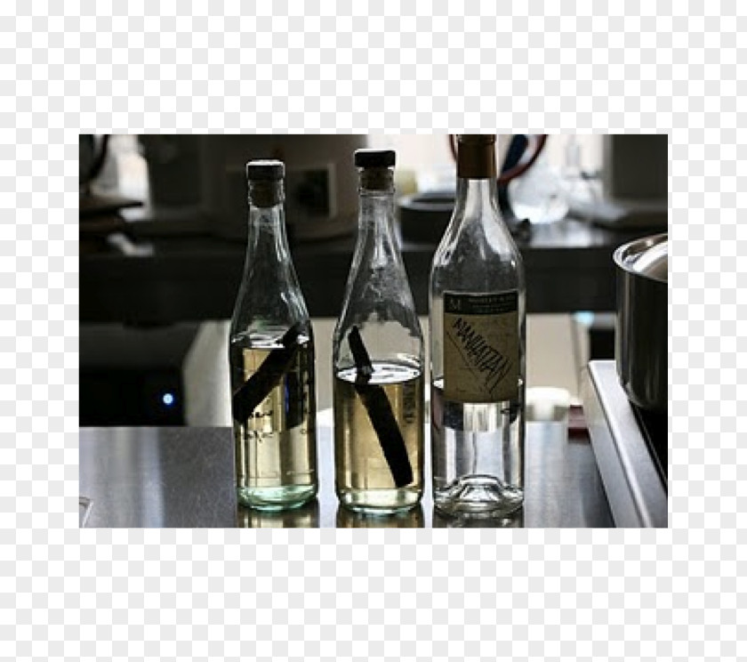 Wine Liqueur Glass Bottle Beer PNG