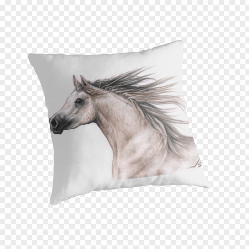 Arabian Horse Arizona Wildcats Football Cushion Pillow University Of PNG