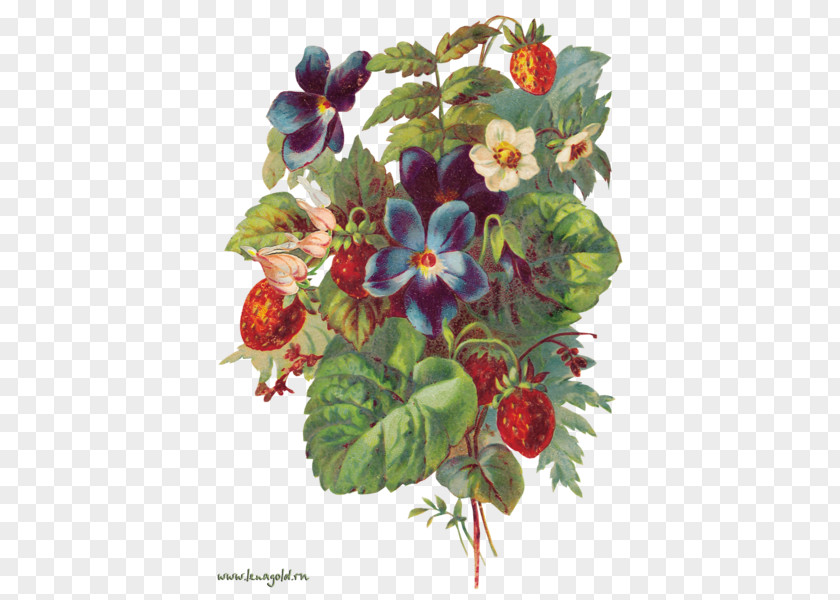 Berries Floral Design Clip Art Fruit Strawberry PNG