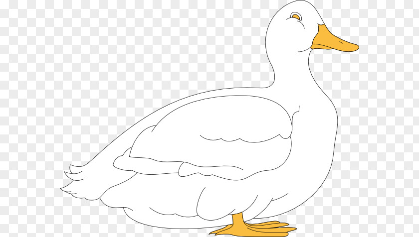 Duck White Cliparts Goose Cygnini Chicken Clip Art PNG