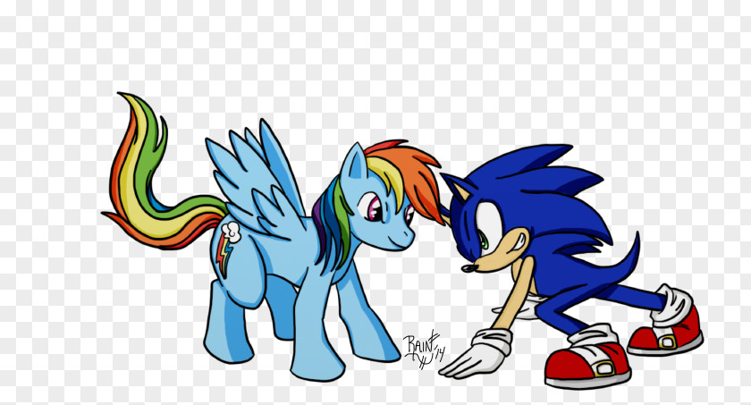 Pony Rainbow Dash Sonic The Hedgehog 3 Image PNG